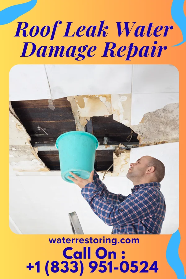 Roof Leak Water Damage Repair in Woodsboro, TX